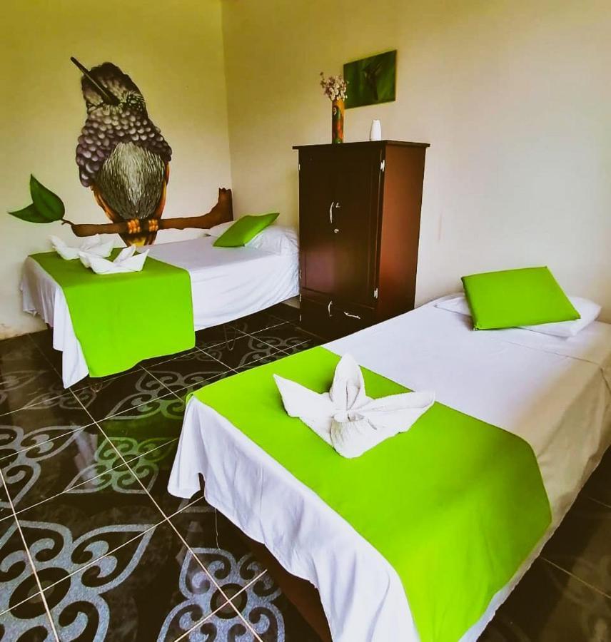 Hotel Ecohotel Colibrí *