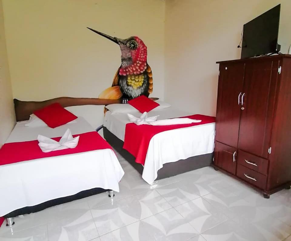 Hotel Ecohotel Colibrí
