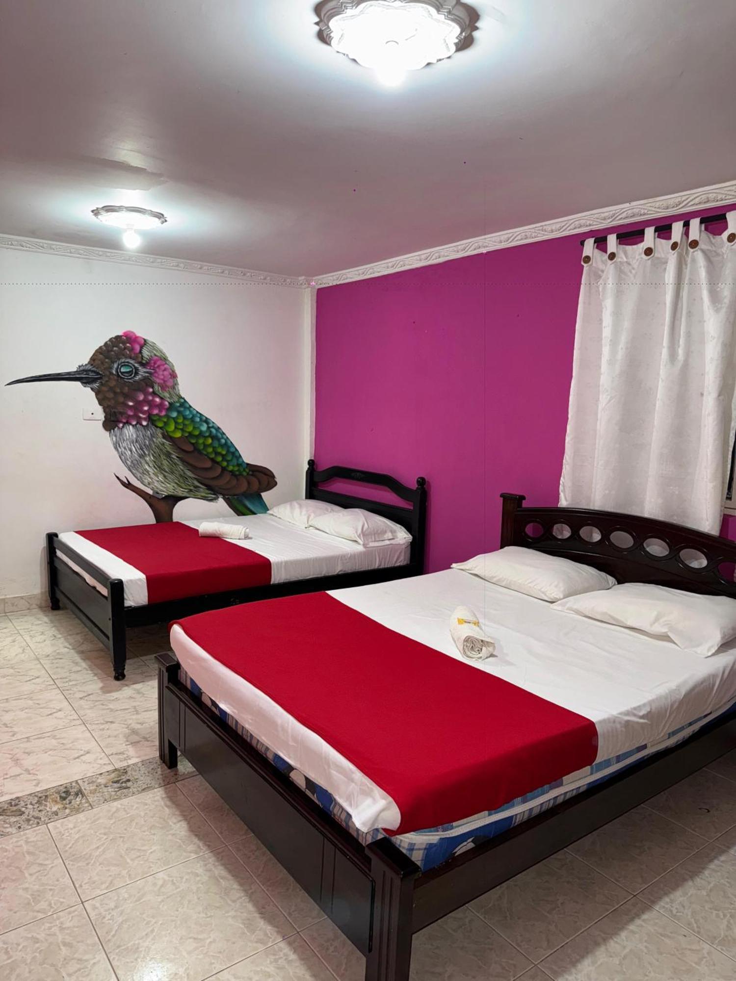 Ecohotel Colibrí Luna Park