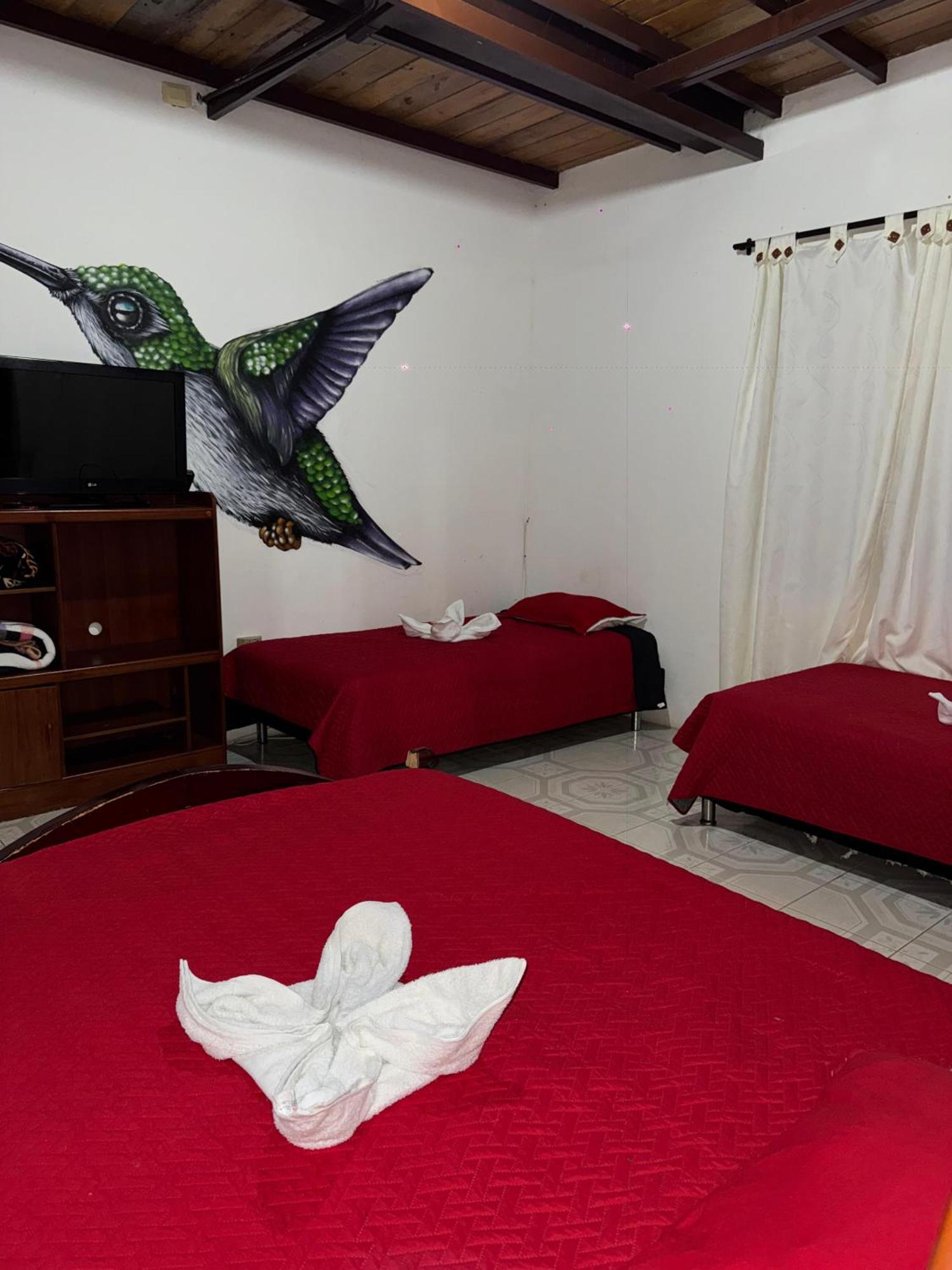 Ecohotel Colibrí Hotel *
