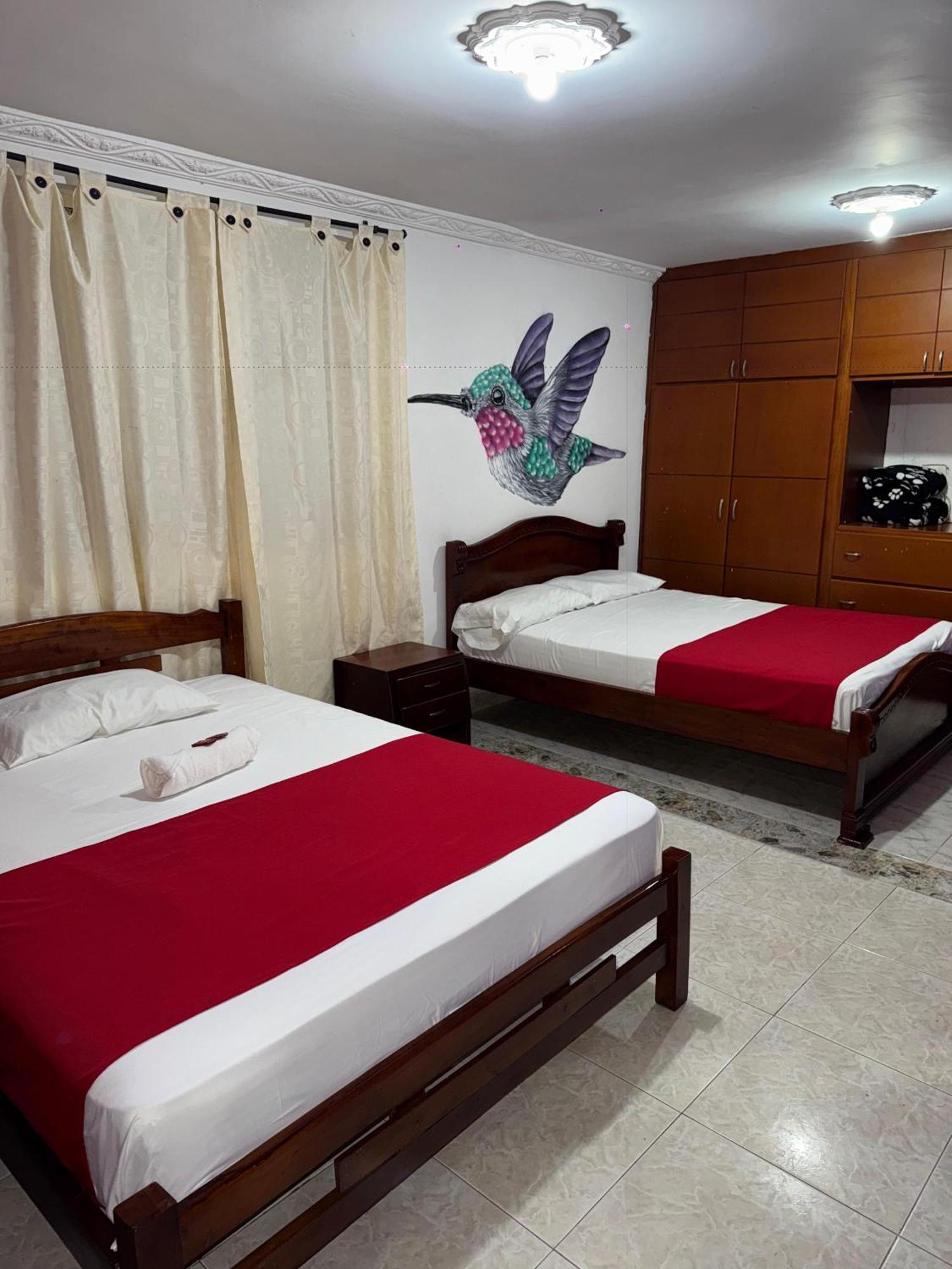 Hotel Ecohotel Colibrí *